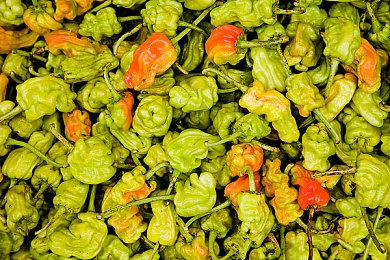 科幻冒险《火星孤征》跳票 2023年2月2日发售